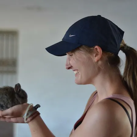 Casa de Férias Ampflwang